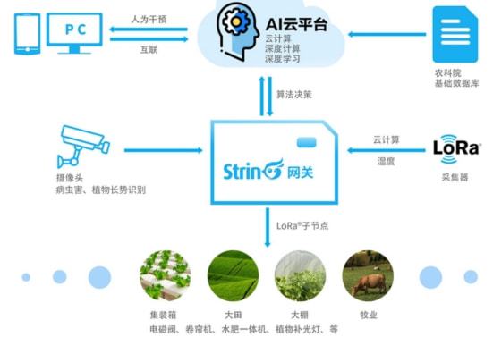 潞西数字乡村_云南 数字乡村_数字乡村方案