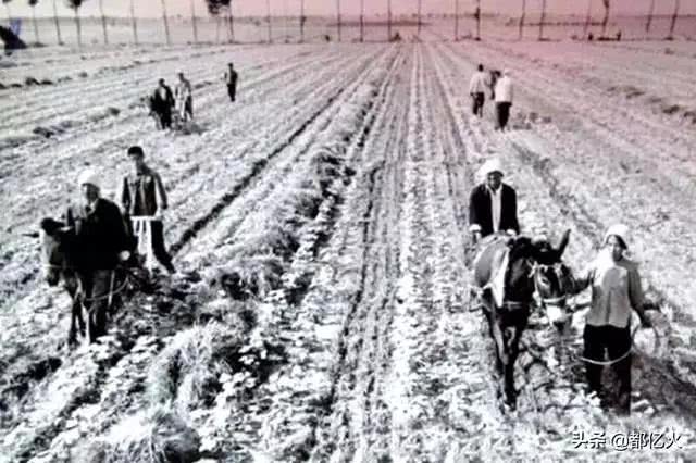 新农村建设_四川农村日报 宣汉 三区建设_仁怀市人民政府2009年农村沼气池建设工作意见