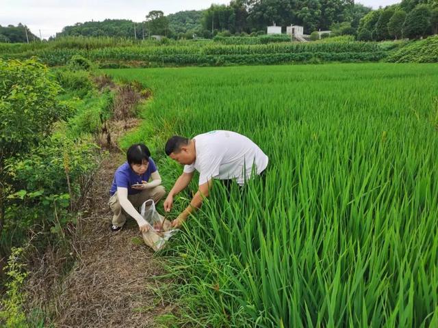 乡村新闻_美丽乡村新闻_2015年春乡村学校开学典礼新闻