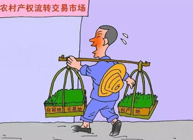 厂办大集体改革与混合所有制改革的关系_乡村改革_阿里改革明治维新改革背景相同