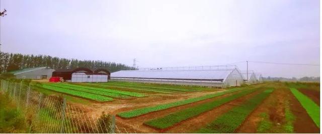 梁漱溟乡村建设中心_乡村建设方案_梁漱溟乡村建设理论