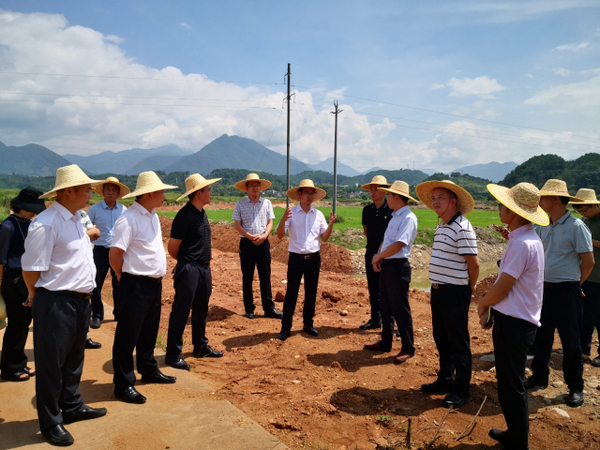 乡村改革_乡村兽医改革_乡村振兴 五项改革