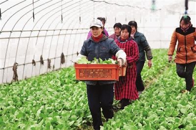 大数据之路阿里巴巴大数据实践_大数据与人工智能的大数据下_农业大数据