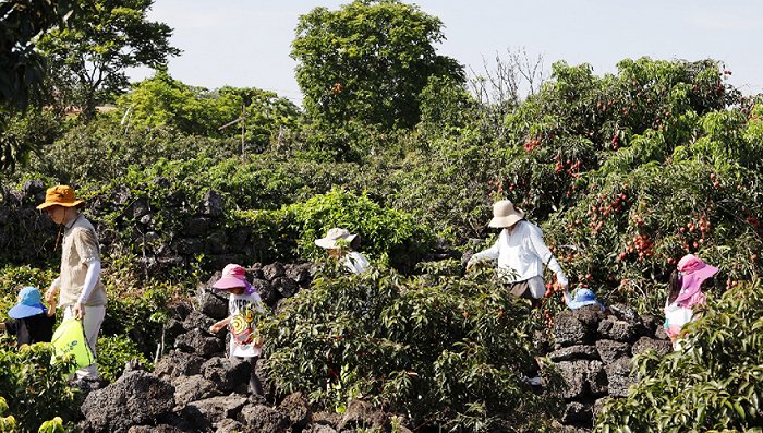 海南省文昌乡村民俗资源旅游_乡村旅游_衡阳县 乡村 旅游
