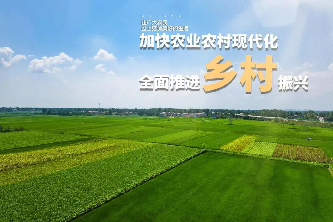 产业振兴是乡村振兴战略的_山东省乡村振兴组织振兴_乡村振兴怎么做