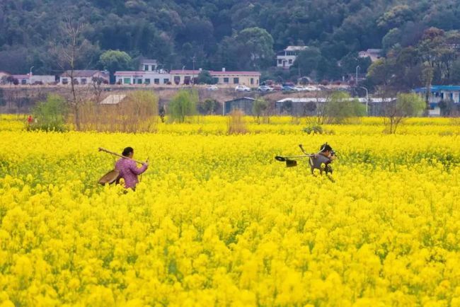 乡村旅游_琼北旅游乡村_乡村体验式旅游案例