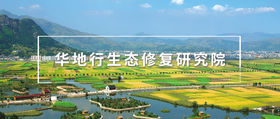 乡村振兴与美丽乡村建设感言_乡村振兴怎么做_乡村振兴战略五大振兴