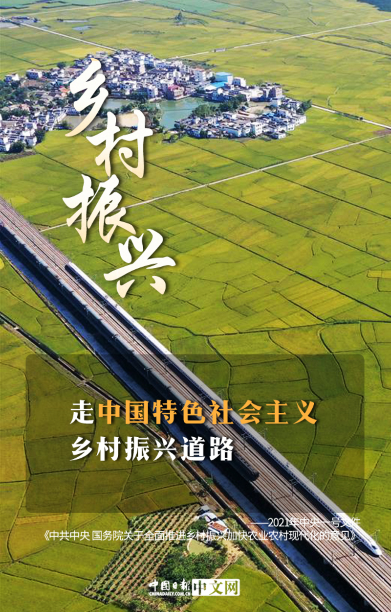 乡村新闻_康乐县白王乡村新闻_美丽乡村南平新闻九点半