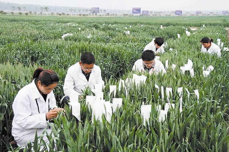 农业大数据_大数据农业概念股龙头_大数据——大价值、大机遇、大变革（全彩）