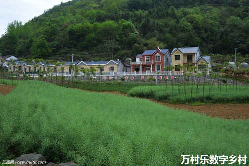 乡村振兴与农村社会治理的创新机制：探索智慧乡村建设的新路径