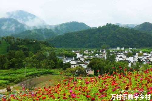 乡村振兴与农村社会治理的社区参与：构建和谐乡村新篇章