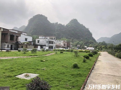 农村信息化建设与乡村振兴的智能服务：实现智慧乡村的关键步骤