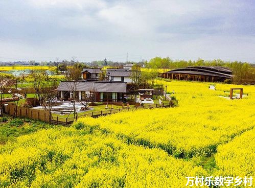 乡村振兴战略下的农村教育资源整合与优化策略