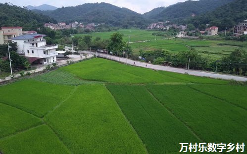农业信息化振兴之路：农村教育信息化与市场开拓策略
