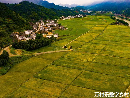 农业振兴与农村创新创业平台构建：潜力挖掘至市场拓宽之路