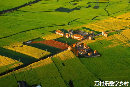 【媒体看浮山】美丽乡村入画来！看浮山梁村~