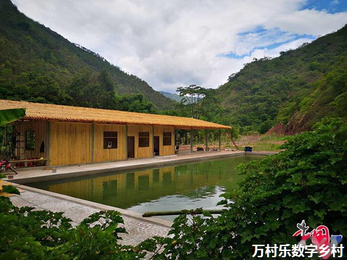 2024年新疆数字乡村应用场景落地优秀案例评选及解决方案征集公告