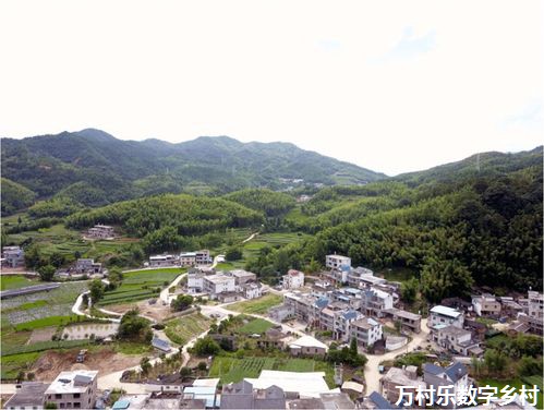 数字乡村建设方案：探索农村就业服务的数字化途径
