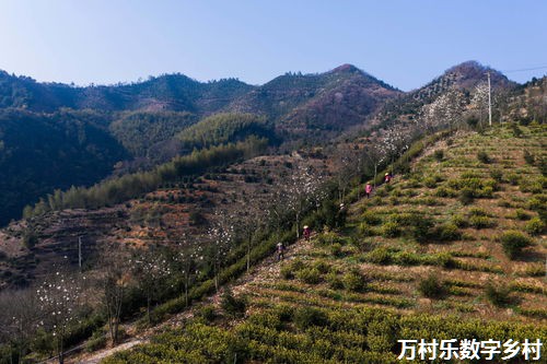 西部欠发达地区数字乡村建设的三个着力点