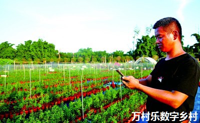 为乡村振兴装上“数字引擎”——重庆大力推进数字乡村建设 为乡村振兴装上“数字引擎”——重庆大力推进数字乡村建设