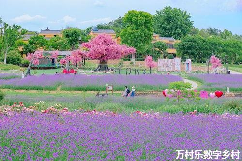 农业电商振兴之道：数字乡村电商解决方案与实践路径