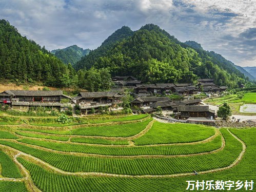 农村环境友好型产业与乡村振兴：构建绿色发展新路径
