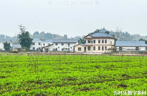中共中央国务院关于学习运用“千村示范、万村整治”工程经验有力有效推进乡村全面振兴的意见