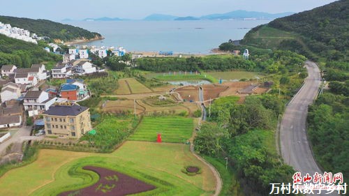各地区各部门有力有效推进乡村全面振兴