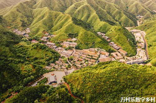各地区各部门有力有效推进乡村全面振兴