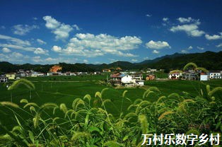 以县域为主体推进乡村振兴 以县域为主体推进乡村振兴