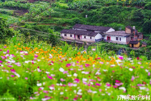 牢记嘱托 感恩奋进 奋力谱写中国式现代化建设河北篇章｜以“千万工程”经验引领乡村全面振兴