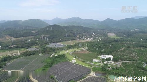 乡村振兴主力军：探索新时代农村振兴的金钥匙