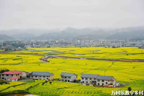 农业企业创新之路：未来农业发展的新引擎