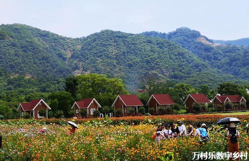 远程医疗教育：打破地域壁垒，助力乡村健康振兴