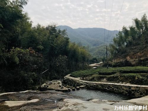 远程医疗教育：打破地域壁垒，助力乡村健康振兴