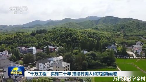 农村电商发展之路：助力乡村振兴的数字新引擎
