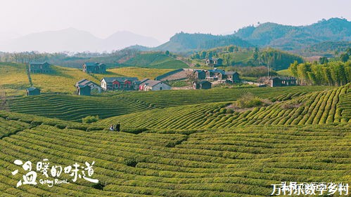 乡村治理能力提升：解锁乡村振兴的金钥匙