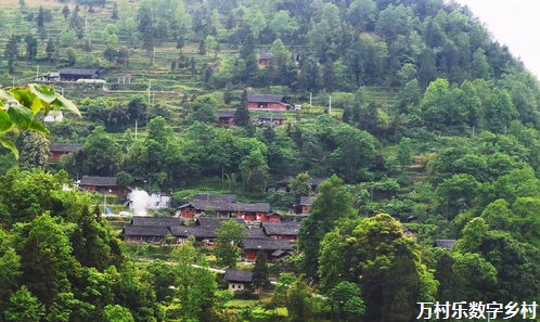 探索乡村治理结构优化之路：助力乡村振兴战略实施